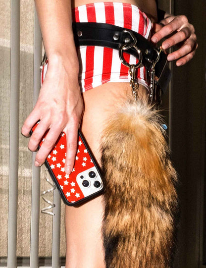 National Anthem iPhone Case