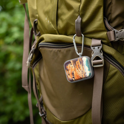 National Parks Petrified Forest HDX Apple Airpods Gen 1 & 2 Case Cover